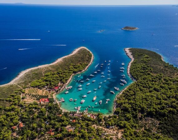 vinogradiste Hvar