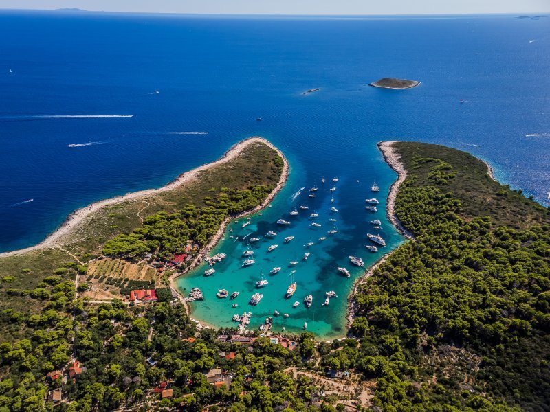 vinogradiste Hvar