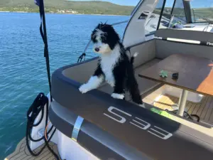 motor yacht rental Biograd Croatia