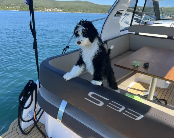 motor yacht rental Biograd Croatia