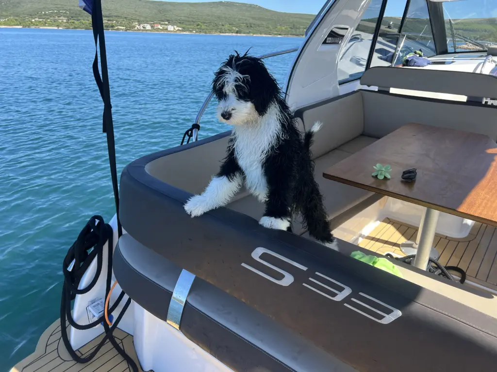 Motoryacht mieten Biograd Kroatien