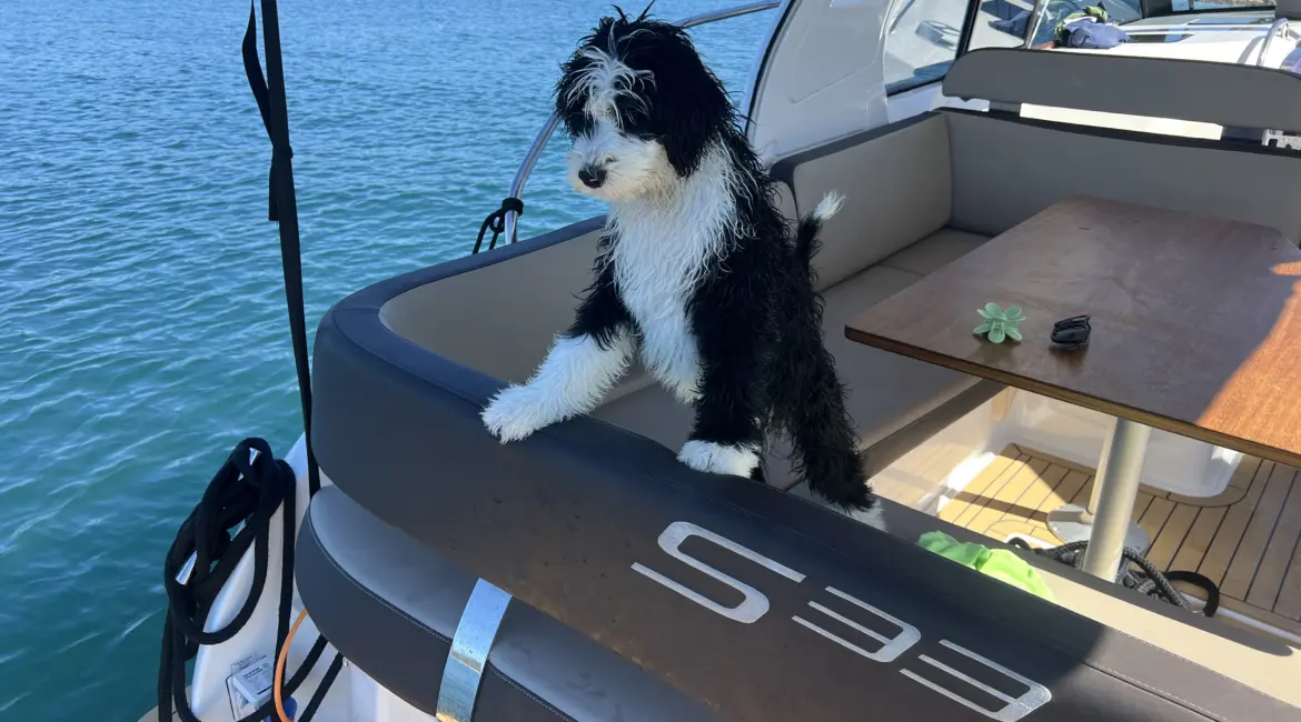 Najam motornih jahti Biograd na moru