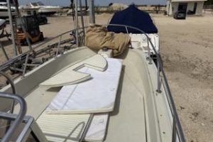 Boston Whaler 25 Outrage with Suzuki 250 HP engine