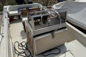 Boston Whaler 25 Outrage with Suzuki 250 HP engine