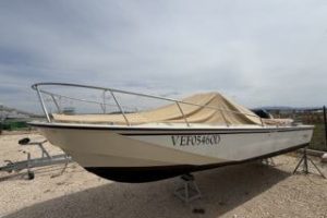 Boston Whaler 25 Outrage with Suzuki 250 HP engine